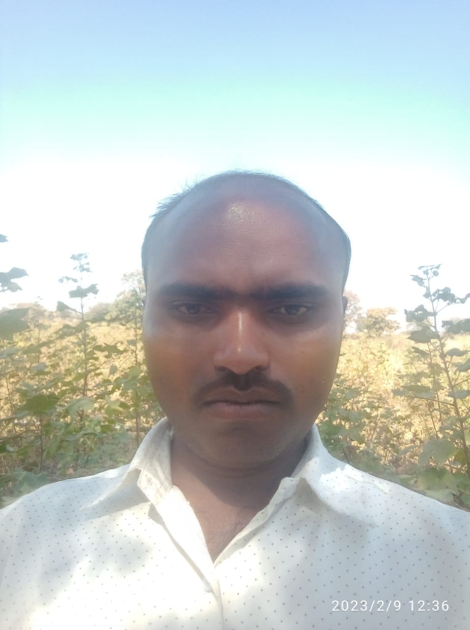 member